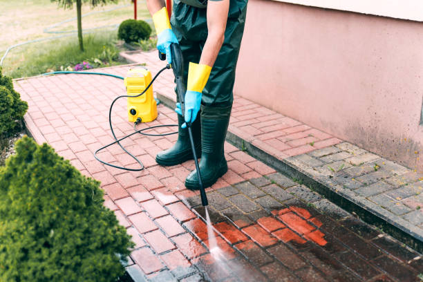 Best Residential Pressure Washing Services  in Dland, MI