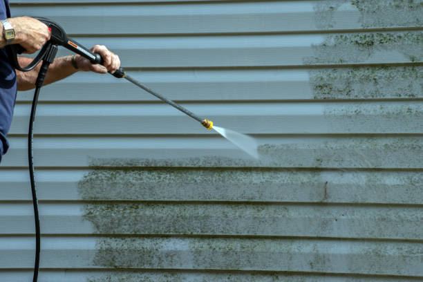 Best Exterior Home Cleaning  in Dland, MI