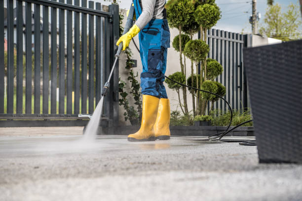 Best House Pressure Washing  in Dland, MI