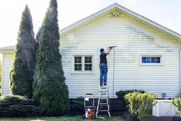 Best Sidewalk Pressure Washing  in Dland, MI
