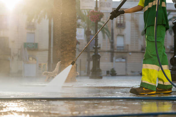 Best Deck Cleaning Services  in Dland, MI