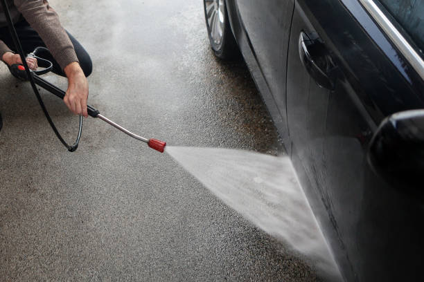 Best Roof Pressure Washing  in Dland, MI