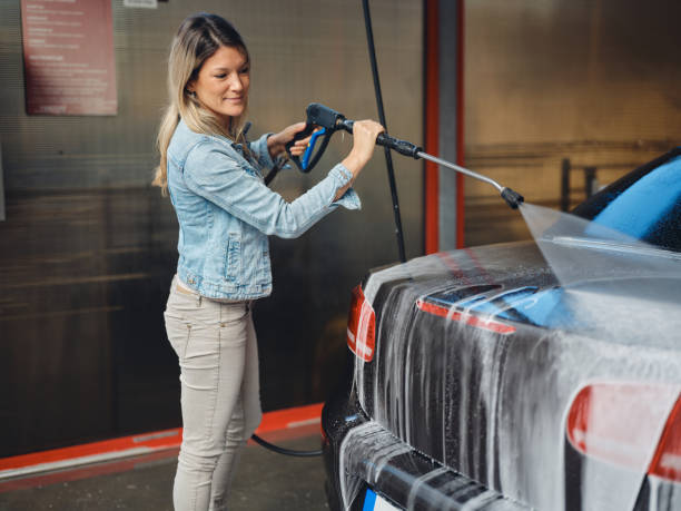 Best Roof Power Washing Services  in Dland, MI