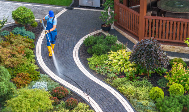 Best Deck Pressure Washing  in Dland, MI